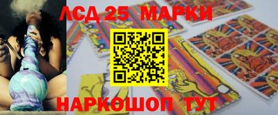 ГАЛЛЮЦИНОГЕННЫЕ ГРИБЫ Кандалакша