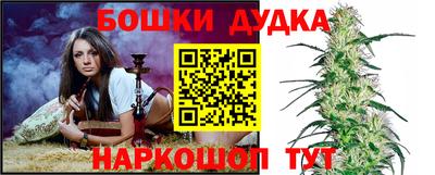 ГАЛЛЮЦИНОГЕННЫЕ ГРИБЫ Кандалакша